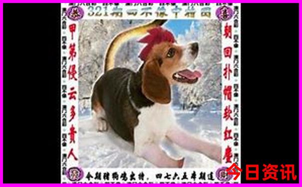 黄水旅游景点大全排名